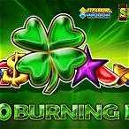 40 burning hot slot machine